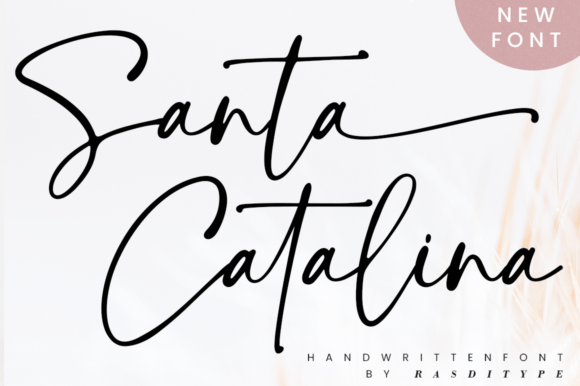 Santa Catalina Script Font for Handmade Products and Branding