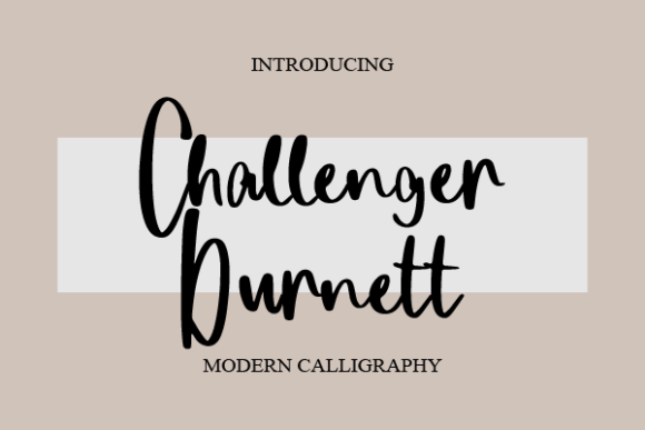 Using Challenger Burnett in Web Design Projects