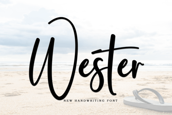 Wester: A Modern Script Handwritten Font for Designers